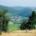 Free Willi Mit Wintergarten Und Grosser Eingezaeunter Terrasse