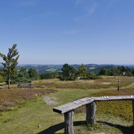 Free Willi * Willingen (Upland)