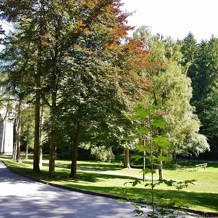 Free Willi * Willingen (Upland)