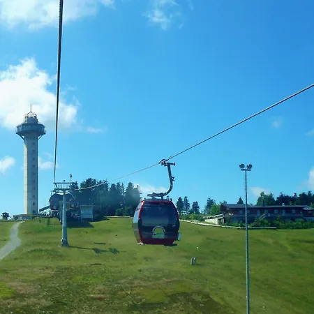 Free Willi Willingen (Upland)