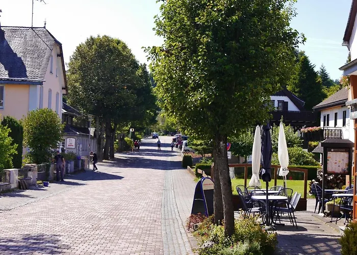 Free Willi Holiday home Willingen (Upland)