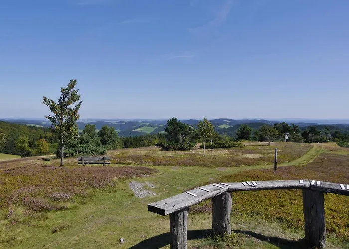 Free Willi * Willingen (Upland)