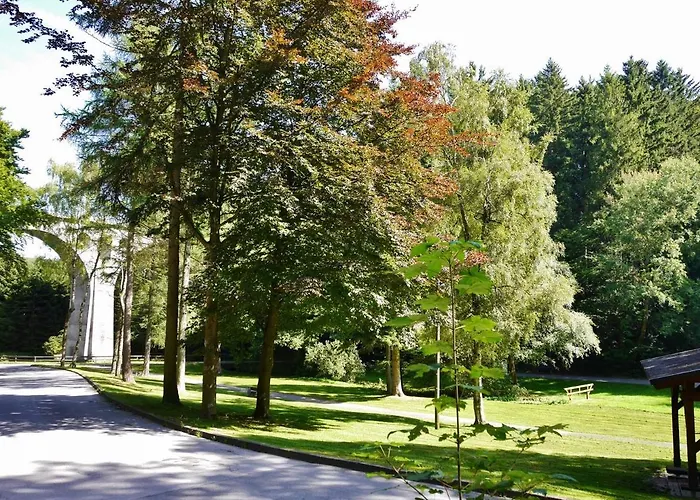 Free Willi * Willingen (Upland)