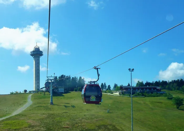 Free Willi Willingen (Upland)